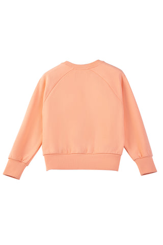 Lena Threaded Sweater in Coral Reef